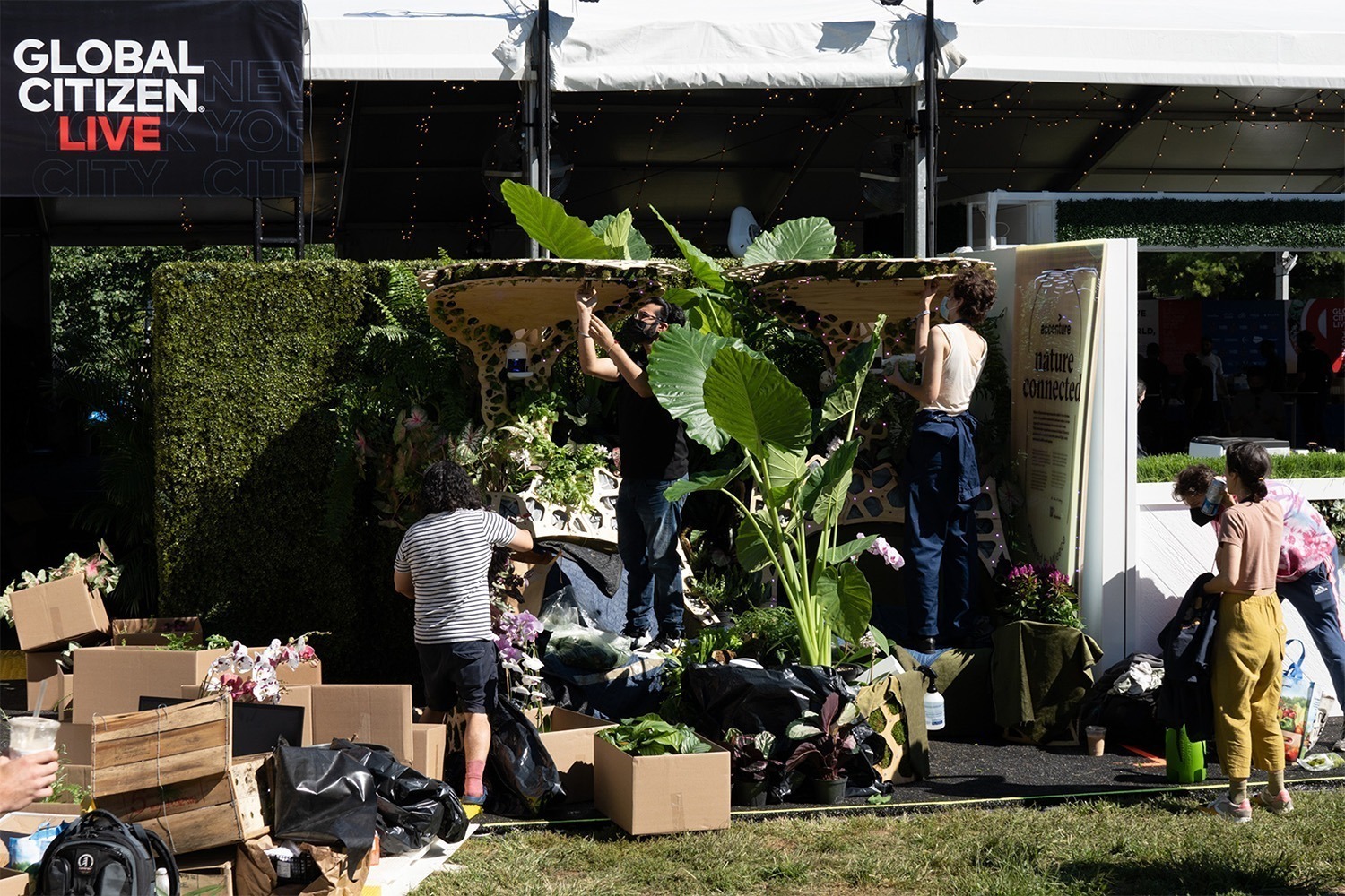 Building plant filled pavillions for accenture at global citizen festival.